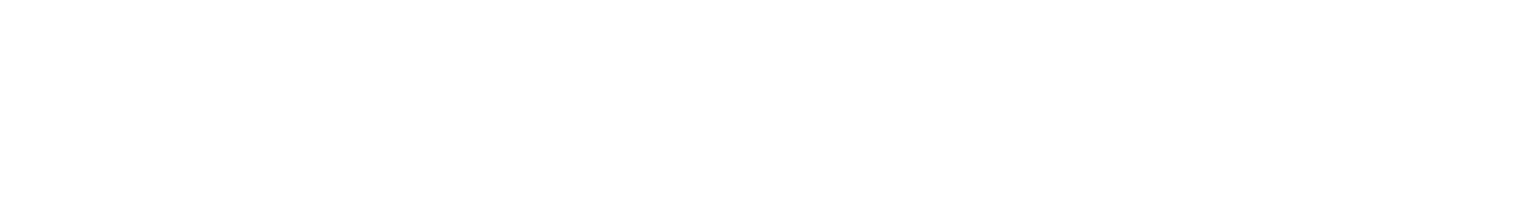 logo skysalt