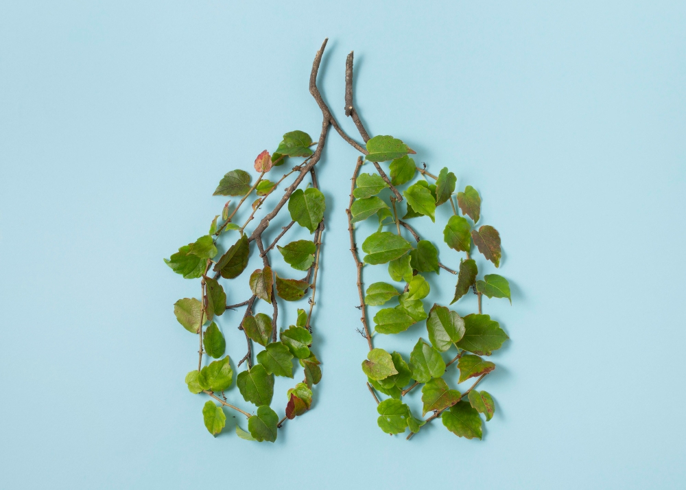 bluesalt-respiratory issues